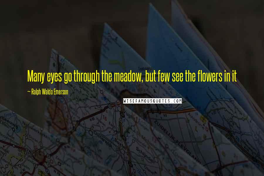 Ralph Waldo Emerson Quotes: Many eyes go through the meadow, but few see the flowers in it