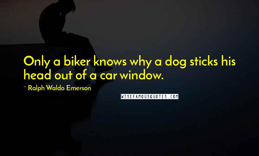 Ralph Waldo Emerson Quotes: Only a biker knows why a dog sticks his head out of a car window.