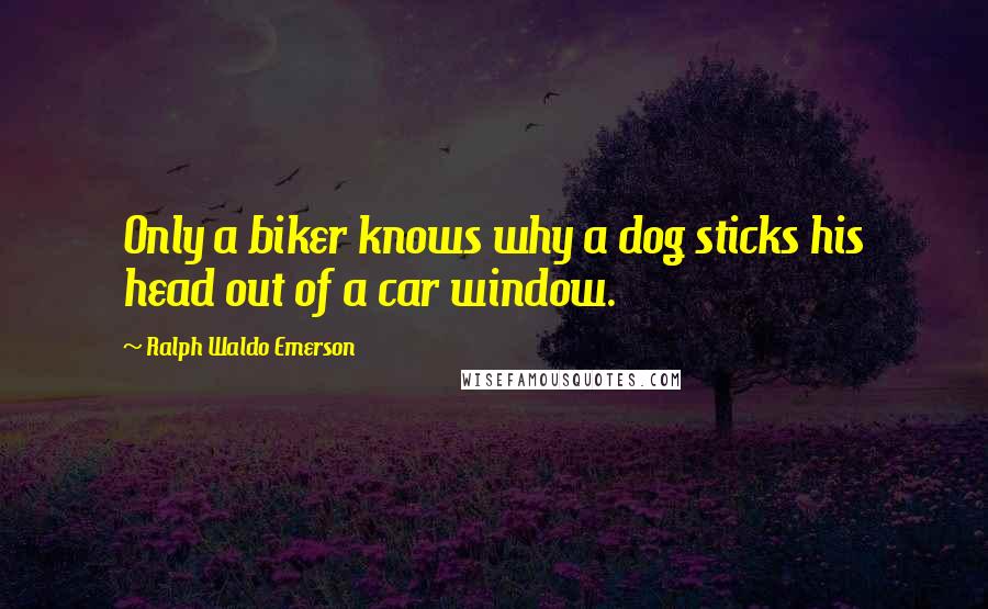 Ralph Waldo Emerson Quotes: Only a biker knows why a dog sticks his head out of a car window.