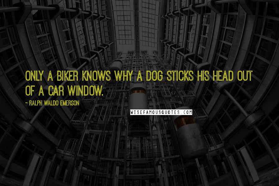 Ralph Waldo Emerson Quotes: Only a biker knows why a dog sticks his head out of a car window.