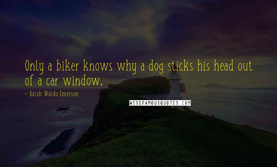 Ralph Waldo Emerson Quotes: Only a biker knows why a dog sticks his head out of a car window.