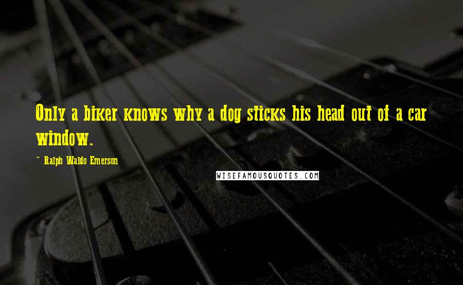 Ralph Waldo Emerson Quotes: Only a biker knows why a dog sticks his head out of a car window.