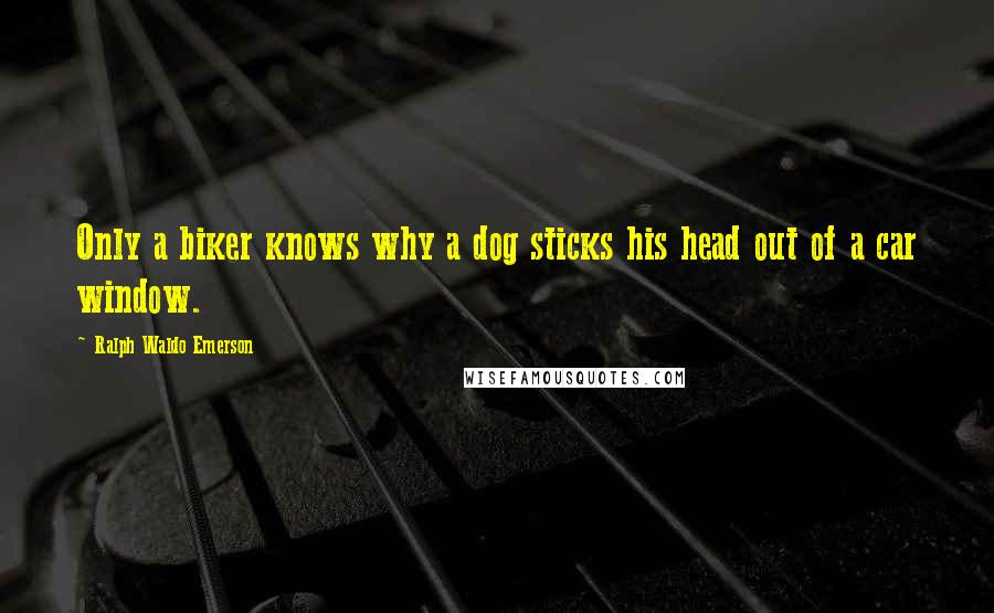 Ralph Waldo Emerson Quotes: Only a biker knows why a dog sticks his head out of a car window.