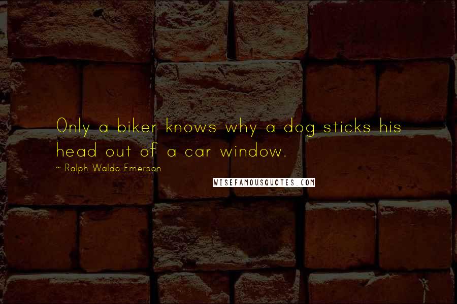 Ralph Waldo Emerson Quotes: Only a biker knows why a dog sticks his head out of a car window.