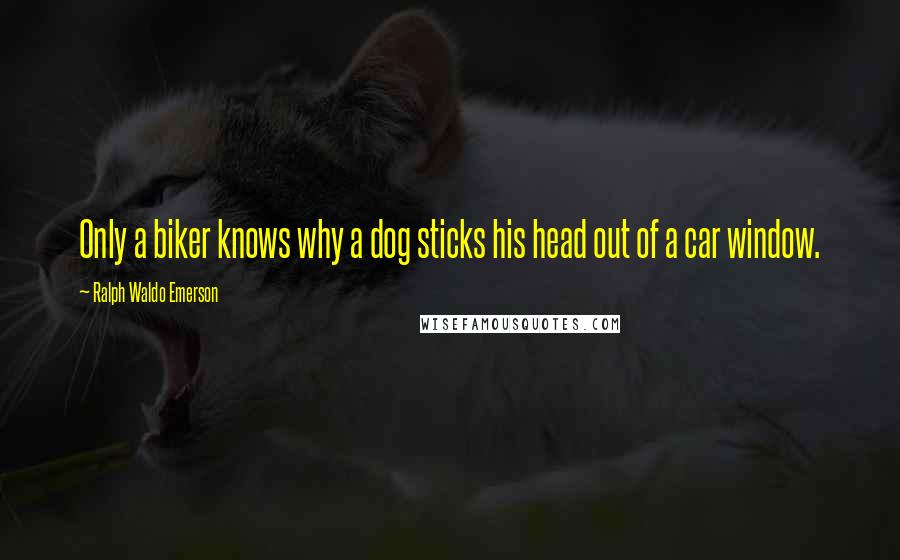 Ralph Waldo Emerson Quotes: Only a biker knows why a dog sticks his head out of a car window.