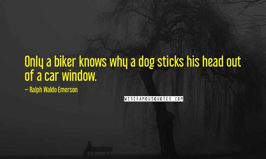 Ralph Waldo Emerson Quotes: Only a biker knows why a dog sticks his head out of a car window.