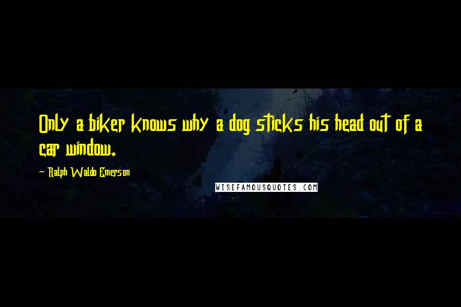 Ralph Waldo Emerson Quotes: Only a biker knows why a dog sticks his head out of a car window.