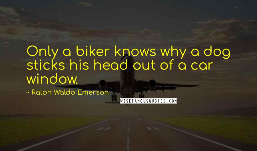 Ralph Waldo Emerson Quotes: Only a biker knows why a dog sticks his head out of a car window.