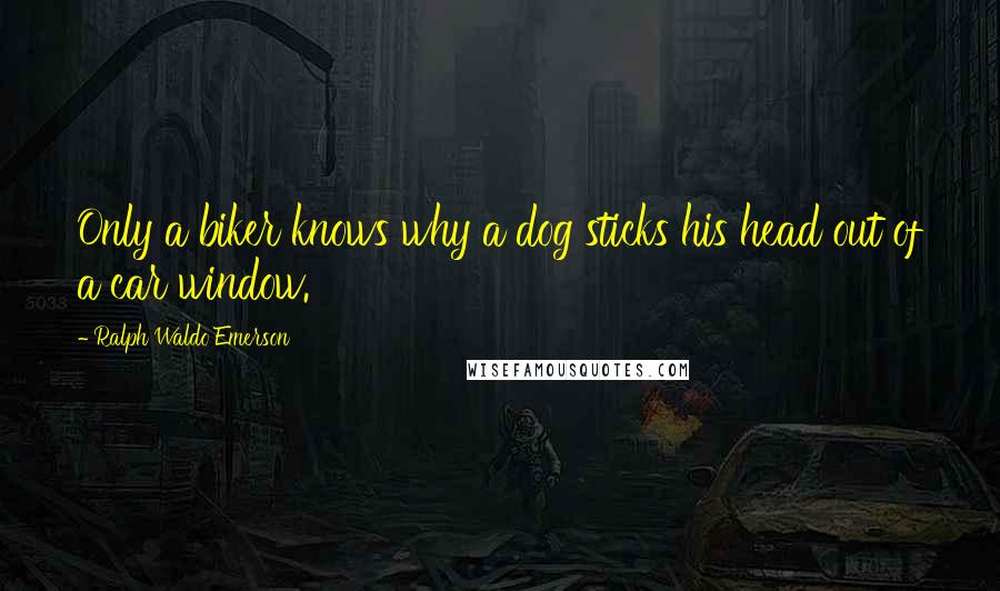 Ralph Waldo Emerson Quotes: Only a biker knows why a dog sticks his head out of a car window.