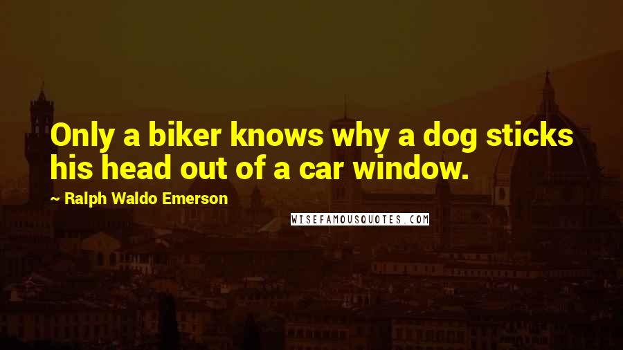 Ralph Waldo Emerson Quotes: Only a biker knows why a dog sticks his head out of a car window.