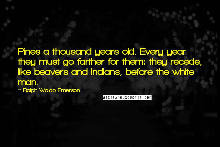 Ralph Waldo Emerson Quotes: Pines a thousand years old. Every year they must go farther for them: they recede, like beavers and Indians, before the white man.