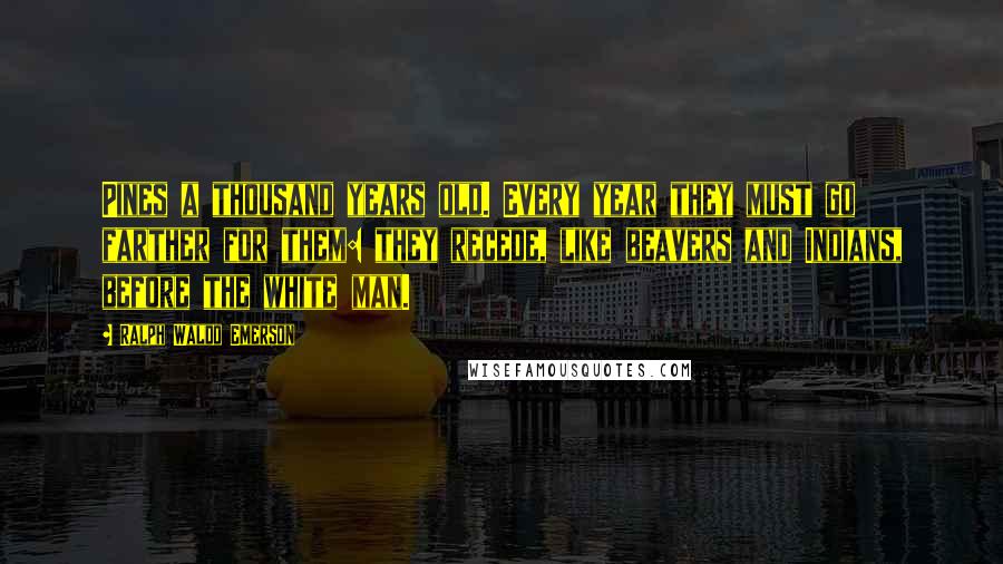 Ralph Waldo Emerson Quotes: Pines a thousand years old. Every year they must go farther for them: they recede, like beavers and Indians, before the white man.