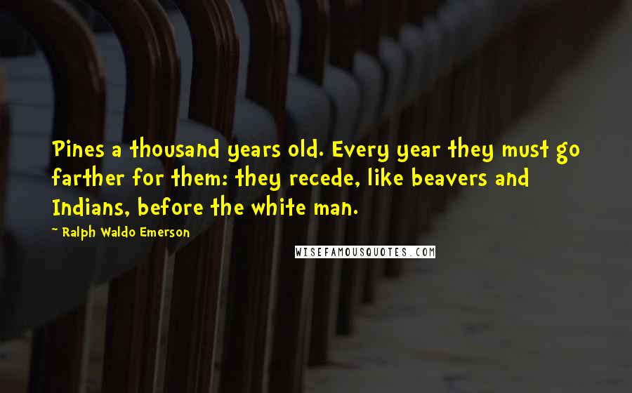 Ralph Waldo Emerson Quotes: Pines a thousand years old. Every year they must go farther for them: they recede, like beavers and Indians, before the white man.