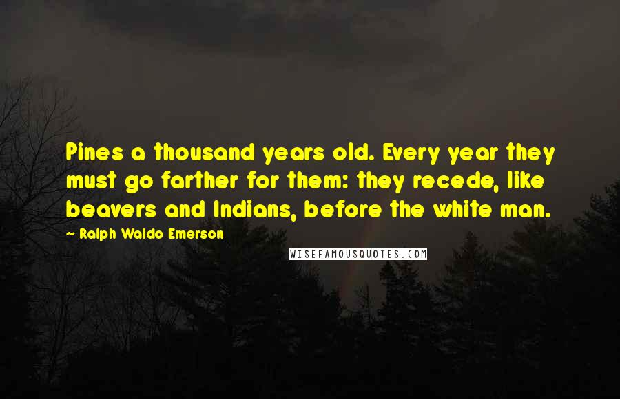 Ralph Waldo Emerson Quotes: Pines a thousand years old. Every year they must go farther for them: they recede, like beavers and Indians, before the white man.