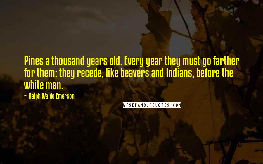 Ralph Waldo Emerson Quotes: Pines a thousand years old. Every year they must go farther for them: they recede, like beavers and Indians, before the white man.