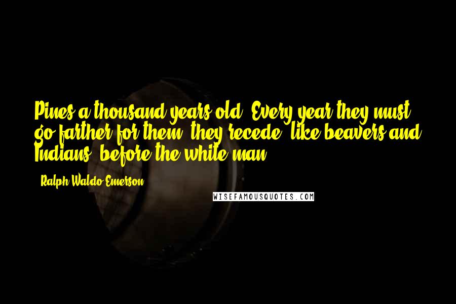 Ralph Waldo Emerson Quotes: Pines a thousand years old. Every year they must go farther for them: they recede, like beavers and Indians, before the white man.