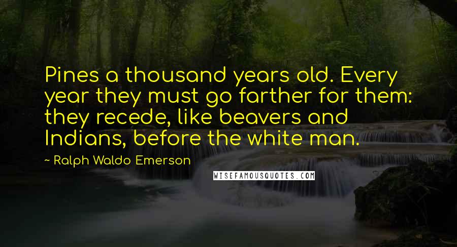 Ralph Waldo Emerson Quotes: Pines a thousand years old. Every year they must go farther for them: they recede, like beavers and Indians, before the white man.