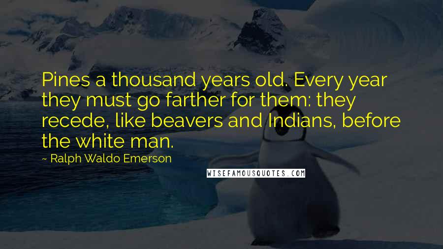 Ralph Waldo Emerson Quotes: Pines a thousand years old. Every year they must go farther for them: they recede, like beavers and Indians, before the white man.