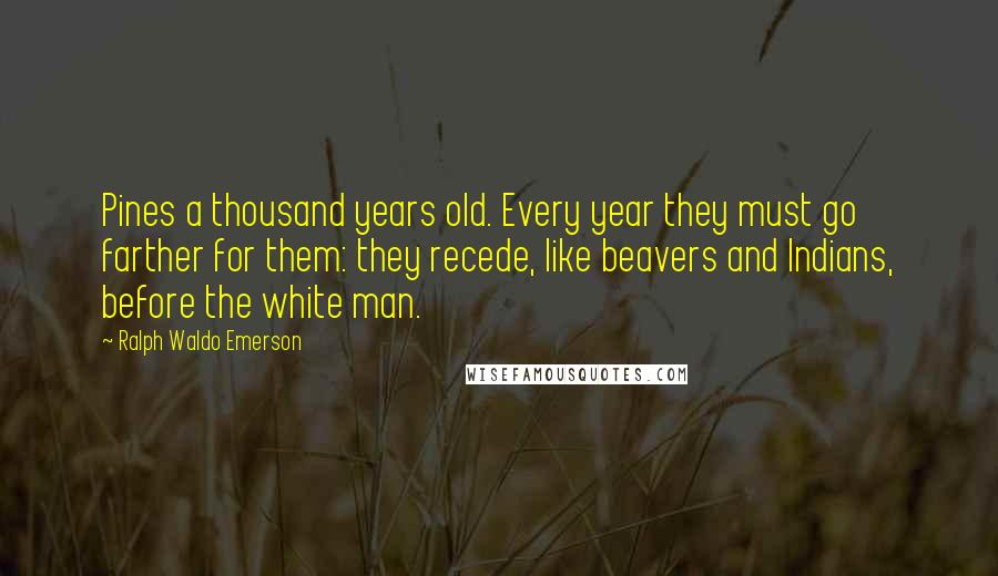 Ralph Waldo Emerson Quotes: Pines a thousand years old. Every year they must go farther for them: they recede, like beavers and Indians, before the white man.