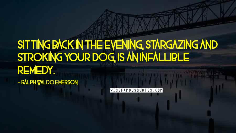 Ralph Waldo Emerson Quotes: Sitting back in the evening, stargazing and stroking your dog, is an infallible remedy.