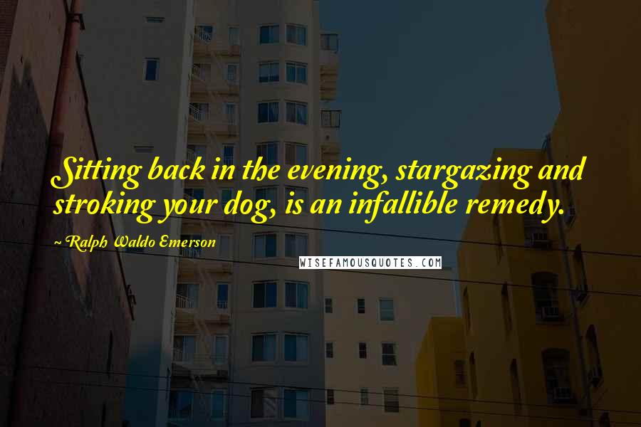 Ralph Waldo Emerson Quotes: Sitting back in the evening, stargazing and stroking your dog, is an infallible remedy.