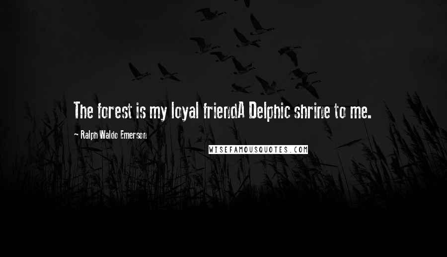 Ralph Waldo Emerson Quotes: The forest is my loyal friendA Delphic shrine to me.