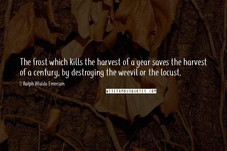 Ralph Waldo Emerson Quotes: The frost which kills the harvest of a year saves the harvest of a century, by destroying the weevil or the locust.