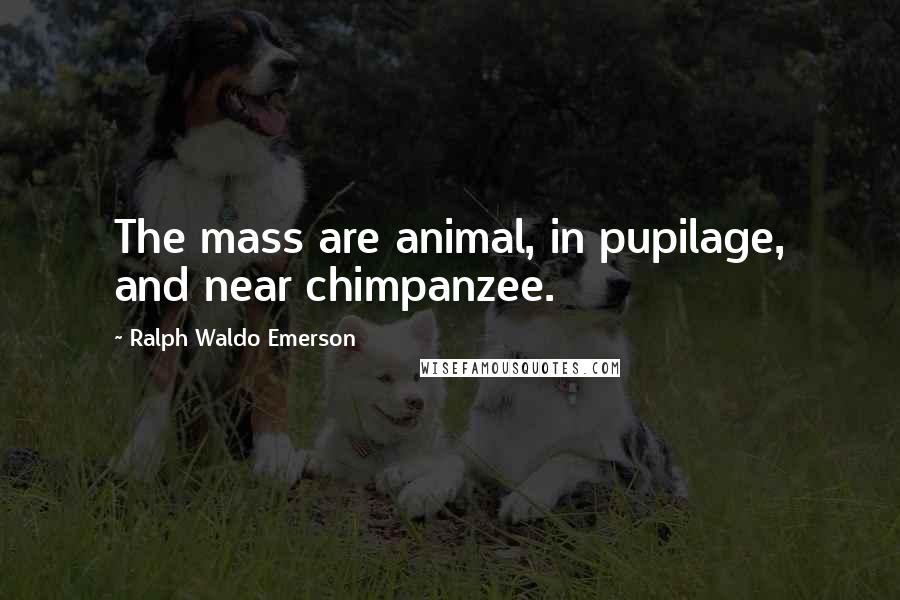 Ralph Waldo Emerson Quotes: The mass are animal, in pupilage, and near chimpanzee.