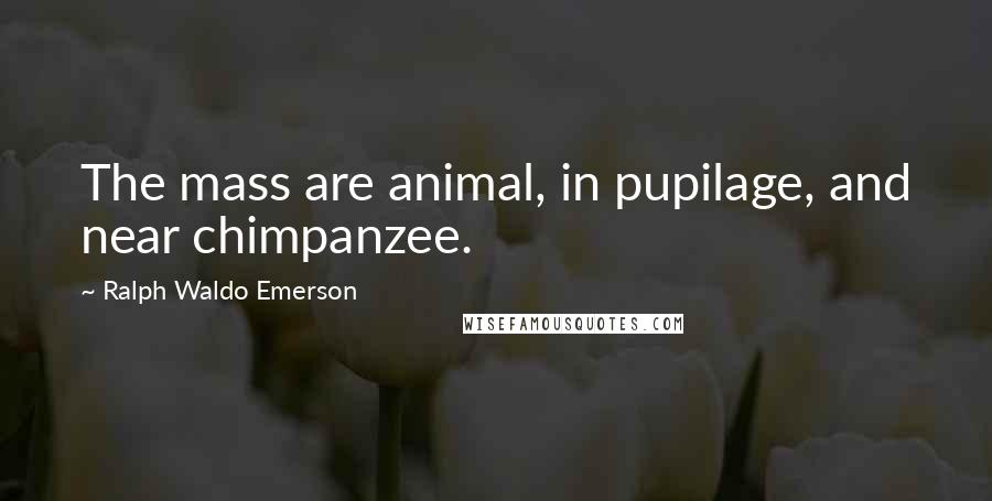 Ralph Waldo Emerson Quotes: The mass are animal, in pupilage, and near chimpanzee.
