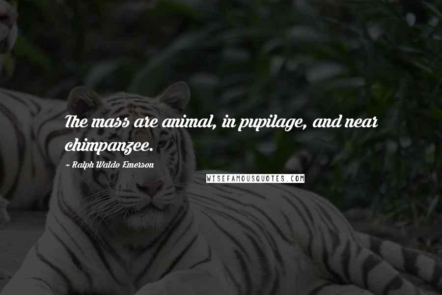 Ralph Waldo Emerson Quotes: The mass are animal, in pupilage, and near chimpanzee.