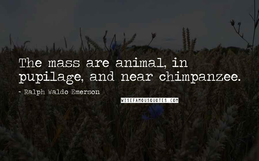 Ralph Waldo Emerson Quotes: The mass are animal, in pupilage, and near chimpanzee.