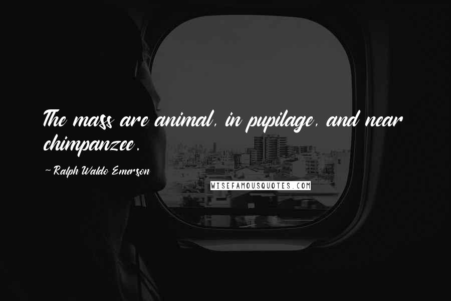 Ralph Waldo Emerson Quotes: The mass are animal, in pupilage, and near chimpanzee.