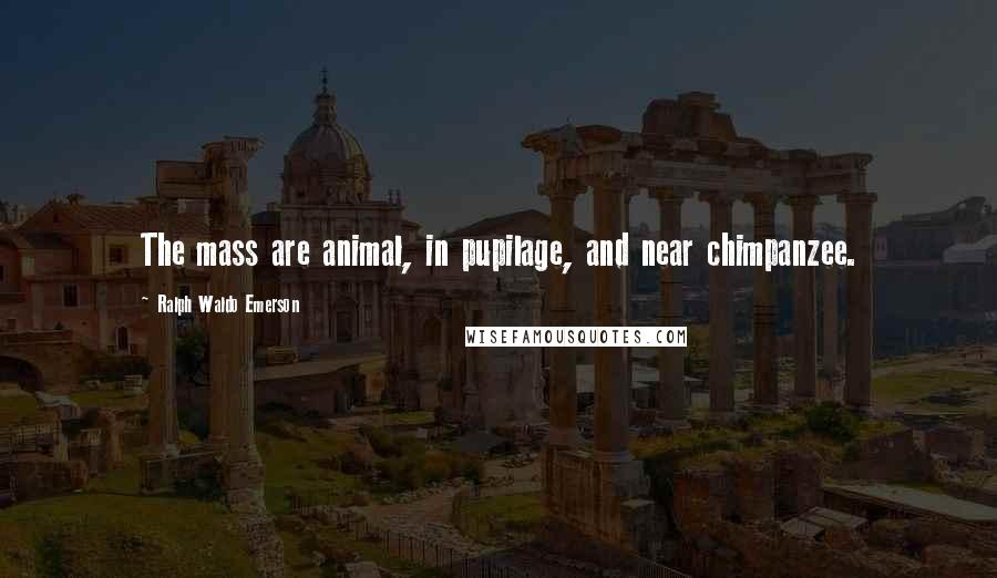 Ralph Waldo Emerson Quotes: The mass are animal, in pupilage, and near chimpanzee.