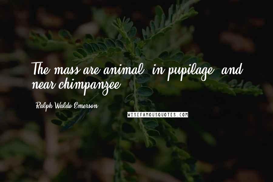 Ralph Waldo Emerson Quotes: The mass are animal, in pupilage, and near chimpanzee.