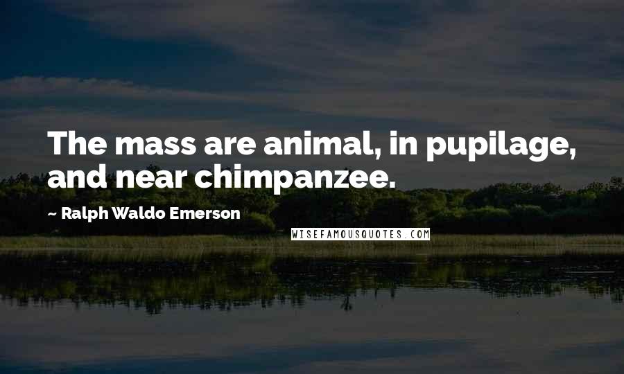 Ralph Waldo Emerson Quotes: The mass are animal, in pupilage, and near chimpanzee.