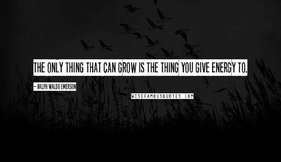 Ralph Waldo Emerson Quotes: The only thing that can grow is the thing you give energy to.