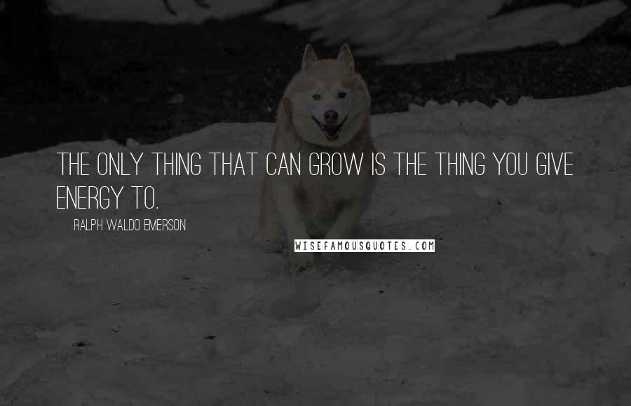 Ralph Waldo Emerson Quotes: The only thing that can grow is the thing you give energy to.