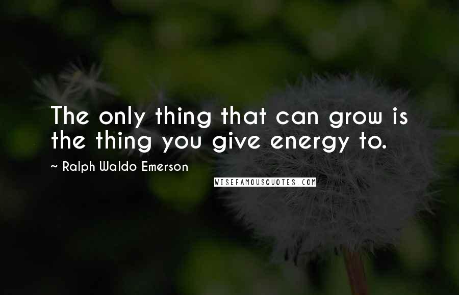 Ralph Waldo Emerson Quotes: The only thing that can grow is the thing you give energy to.