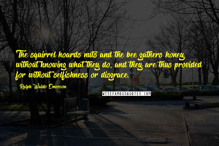 Ralph Waldo Emerson Quotes: The squirrel hoards nuts and the bee gathers honey, without knowing what they do, and they are thus provided for without selfishness or disgrace.