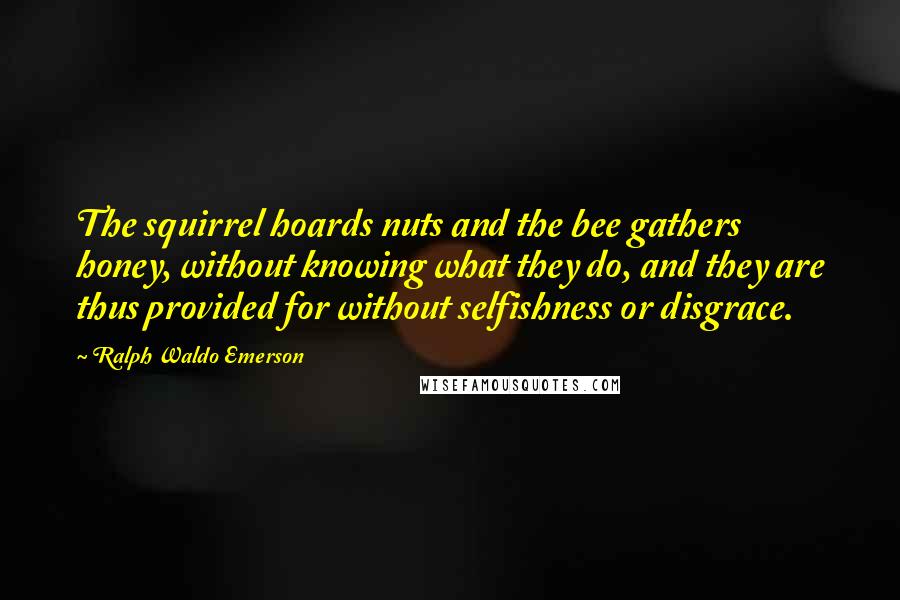 Ralph Waldo Emerson Quotes: The squirrel hoards nuts and the bee gathers honey, without knowing what they do, and they are thus provided for without selfishness or disgrace.