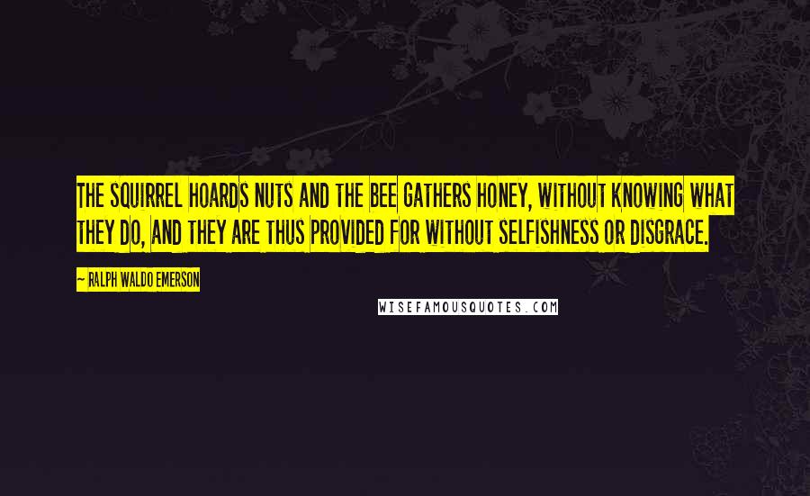 Ralph Waldo Emerson Quotes: The squirrel hoards nuts and the bee gathers honey, without knowing what they do, and they are thus provided for without selfishness or disgrace.
