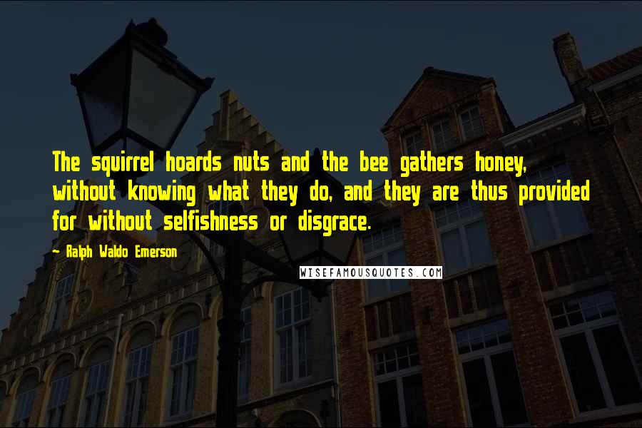 Ralph Waldo Emerson Quotes: The squirrel hoards nuts and the bee gathers honey, without knowing what they do, and they are thus provided for without selfishness or disgrace.