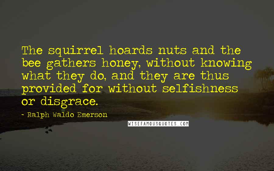 Ralph Waldo Emerson Quotes: The squirrel hoards nuts and the bee gathers honey, without knowing what they do, and they are thus provided for without selfishness or disgrace.