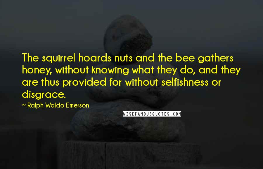 Ralph Waldo Emerson Quotes: The squirrel hoards nuts and the bee gathers honey, without knowing what they do, and they are thus provided for without selfishness or disgrace.