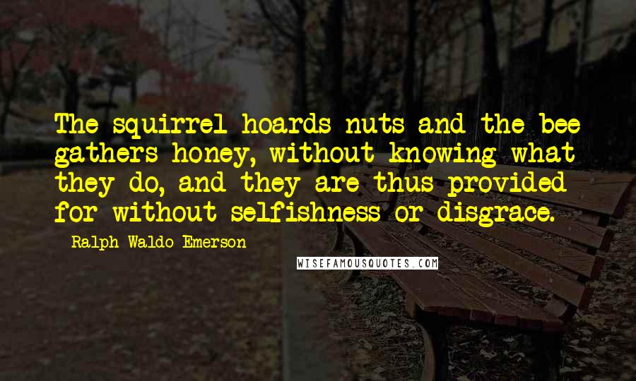 Ralph Waldo Emerson Quotes: The squirrel hoards nuts and the bee gathers honey, without knowing what they do, and they are thus provided for without selfishness or disgrace.