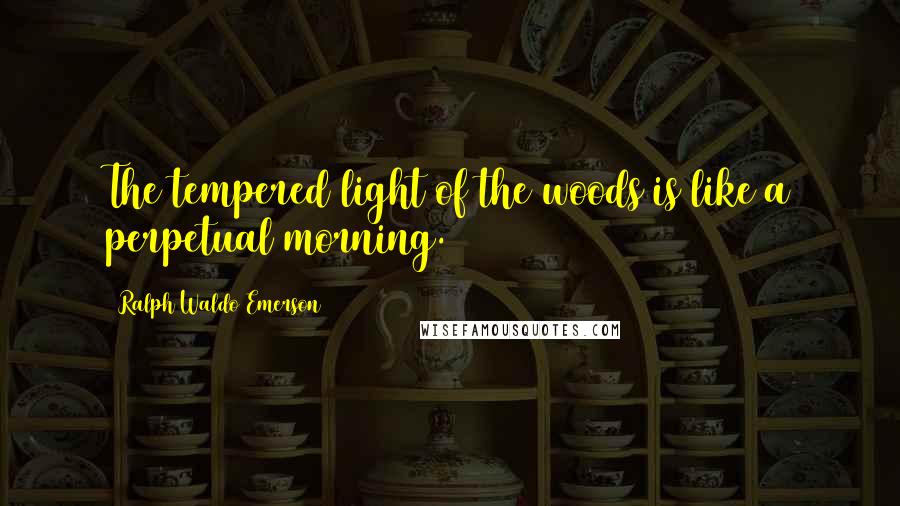 Ralph Waldo Emerson Quotes: The tempered light of the woods is like a perpetual morning.