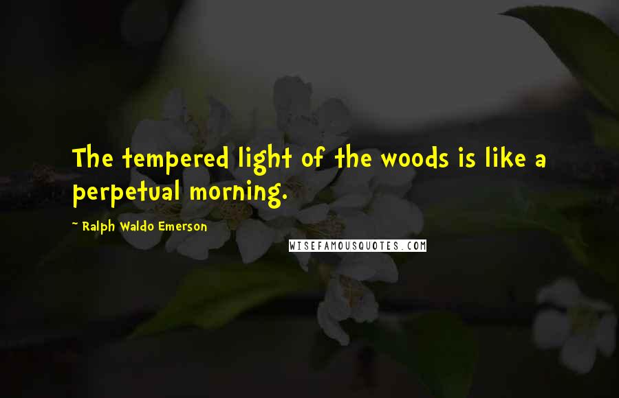 Ralph Waldo Emerson Quotes: The tempered light of the woods is like a perpetual morning.