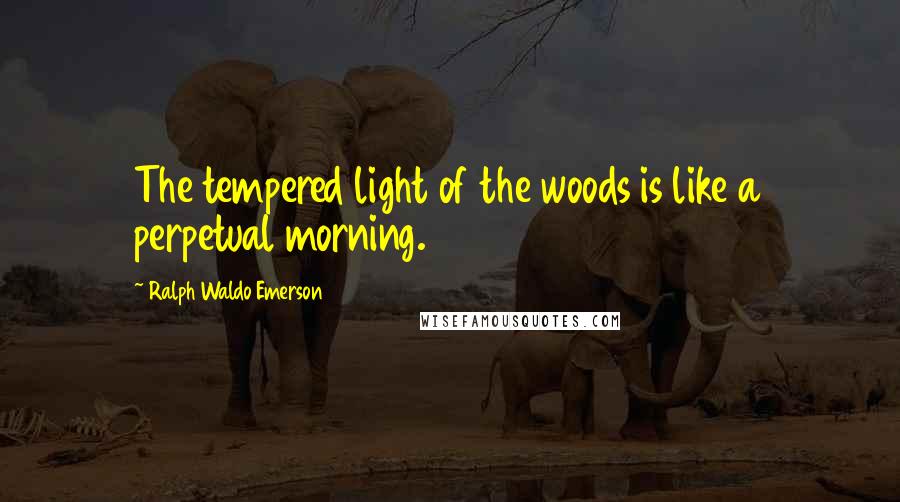 Ralph Waldo Emerson Quotes: The tempered light of the woods is like a perpetual morning.