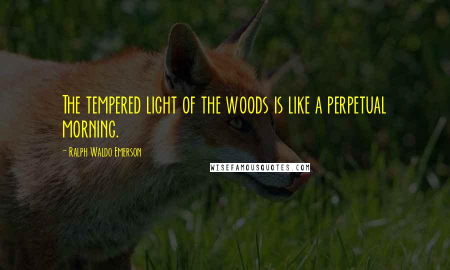 Ralph Waldo Emerson Quotes: The tempered light of the woods is like a perpetual morning.