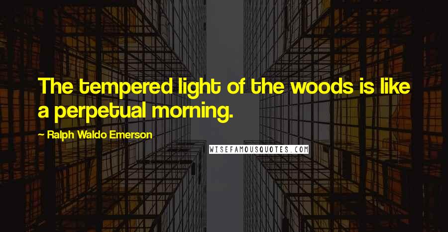 Ralph Waldo Emerson Quotes: The tempered light of the woods is like a perpetual morning.